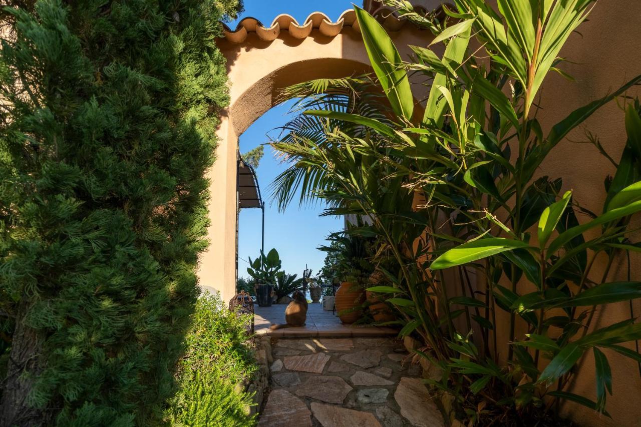Casa Del Sole Chambres D'Hotes De Charme Favone Bagian luar foto